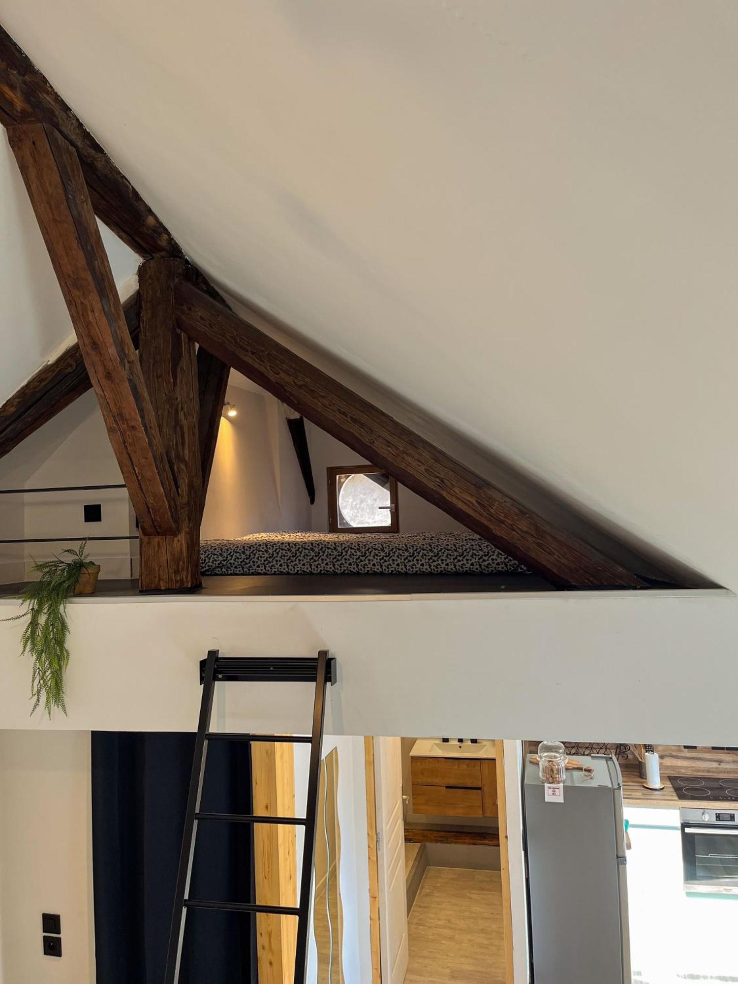 Apartmán Cocon Sous Les Toits Albertville Exteriér fotografie